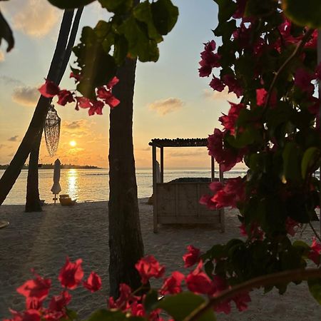 Samura Maldives Guest House Thulusdhoo Εξωτερικό φωτογραφία