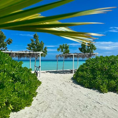 Samura Maldives Guest House Thulusdhoo Εξωτερικό φωτογραφία