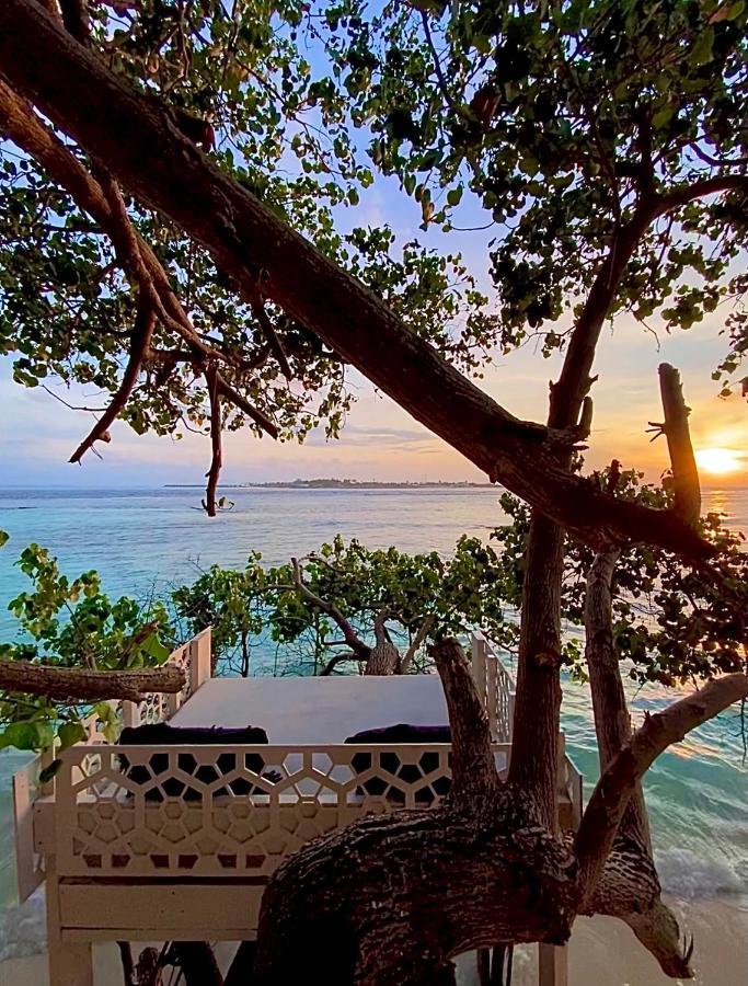 Samura Maldives Guest House Thulusdhoo Εξωτερικό φωτογραφία