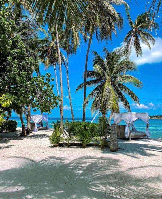 Samura Maldives Guest House Thulusdhoo Εξωτερικό φωτογραφία