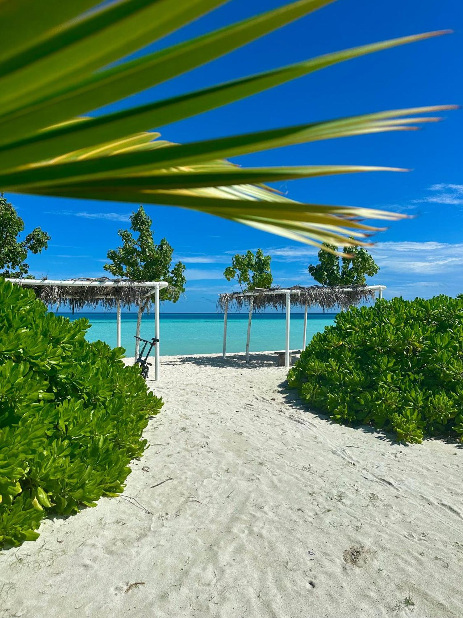 Samura Maldives Guest House Thulusdhoo Εξωτερικό φωτογραφία
