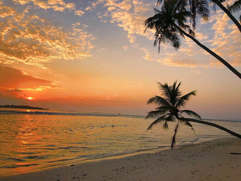 Samura Maldives Guest House Thulusdhoo Εξωτερικό φωτογραφία